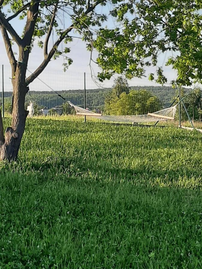 Gosp. Agroturystyczne Stary Gaj Villa Zerkowice Exterior foto