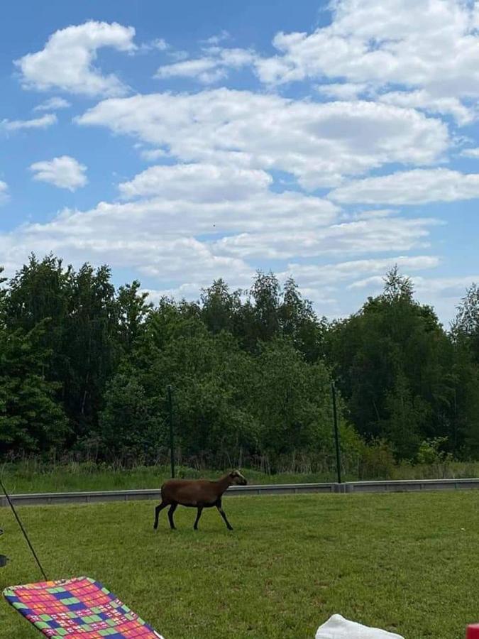 Gosp. Agroturystyczne Stary Gaj Villa Zerkowice Exterior foto