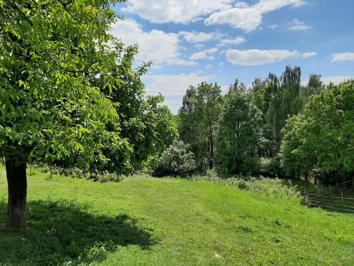 Gosp. Agroturystyczne Stary Gaj Villa Zerkowice Exterior foto
