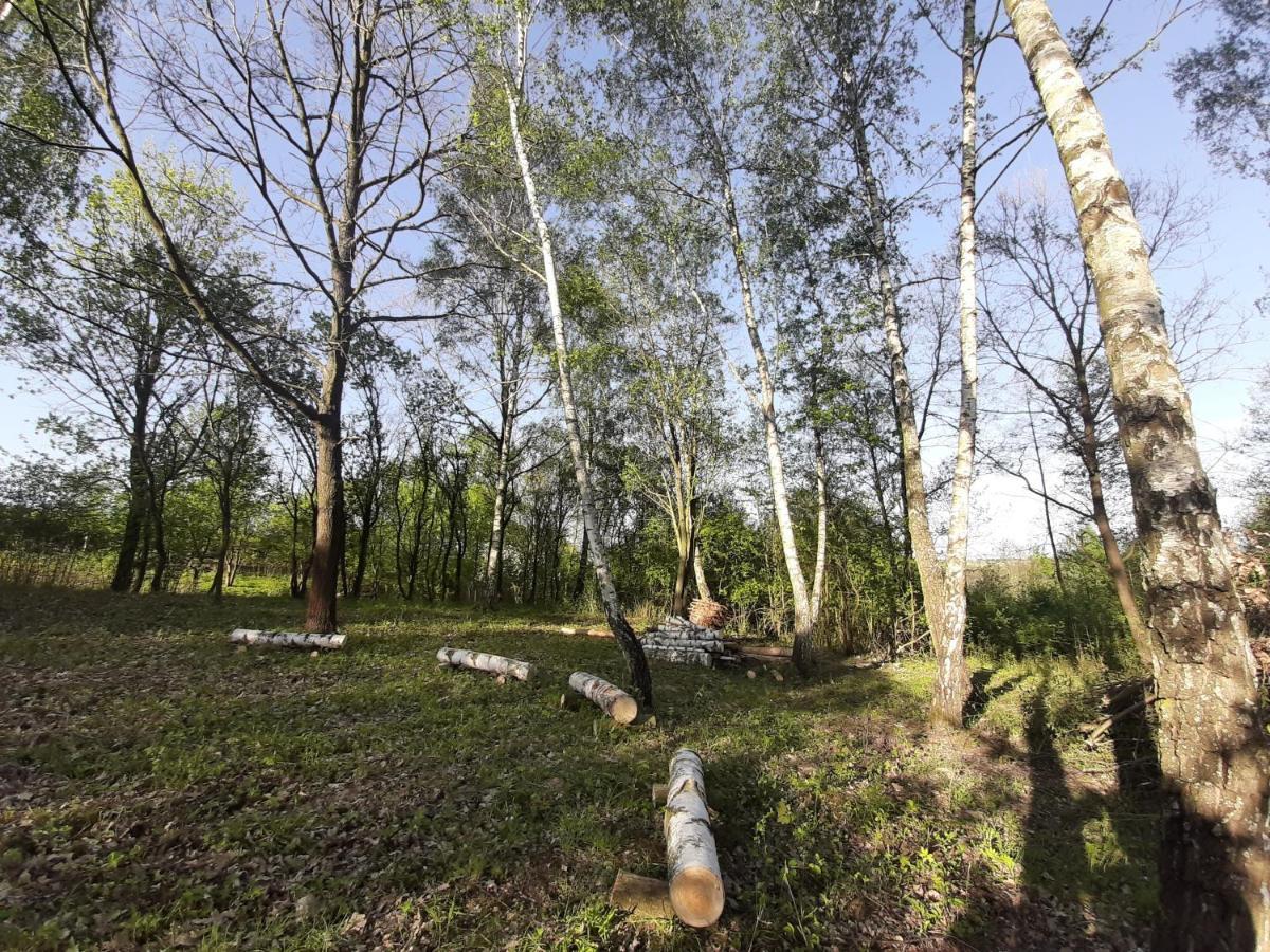 Gosp. Agroturystyczne Stary Gaj Villa Zerkowice Exterior foto